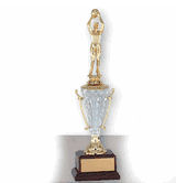 Trophy with Acrylic Cup