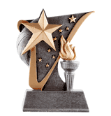 Value Line Torch & Star Trophy - Participation & Winners