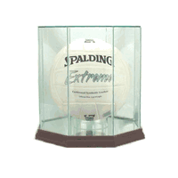 Volleyball Display Case (Glass, Octagon)