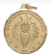 Volunteer Medals