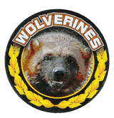 Wolverines Mascot Medal Insert