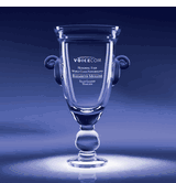 World Class Cup Champion's Award